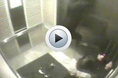 (Vidéo) voilà ce qui peut arriver à un chien qui prend l'ascenseur